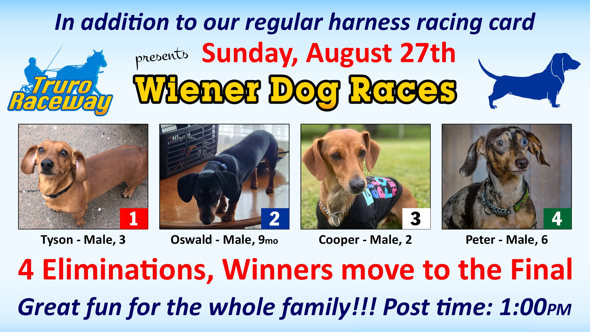 Wiener Dog Races